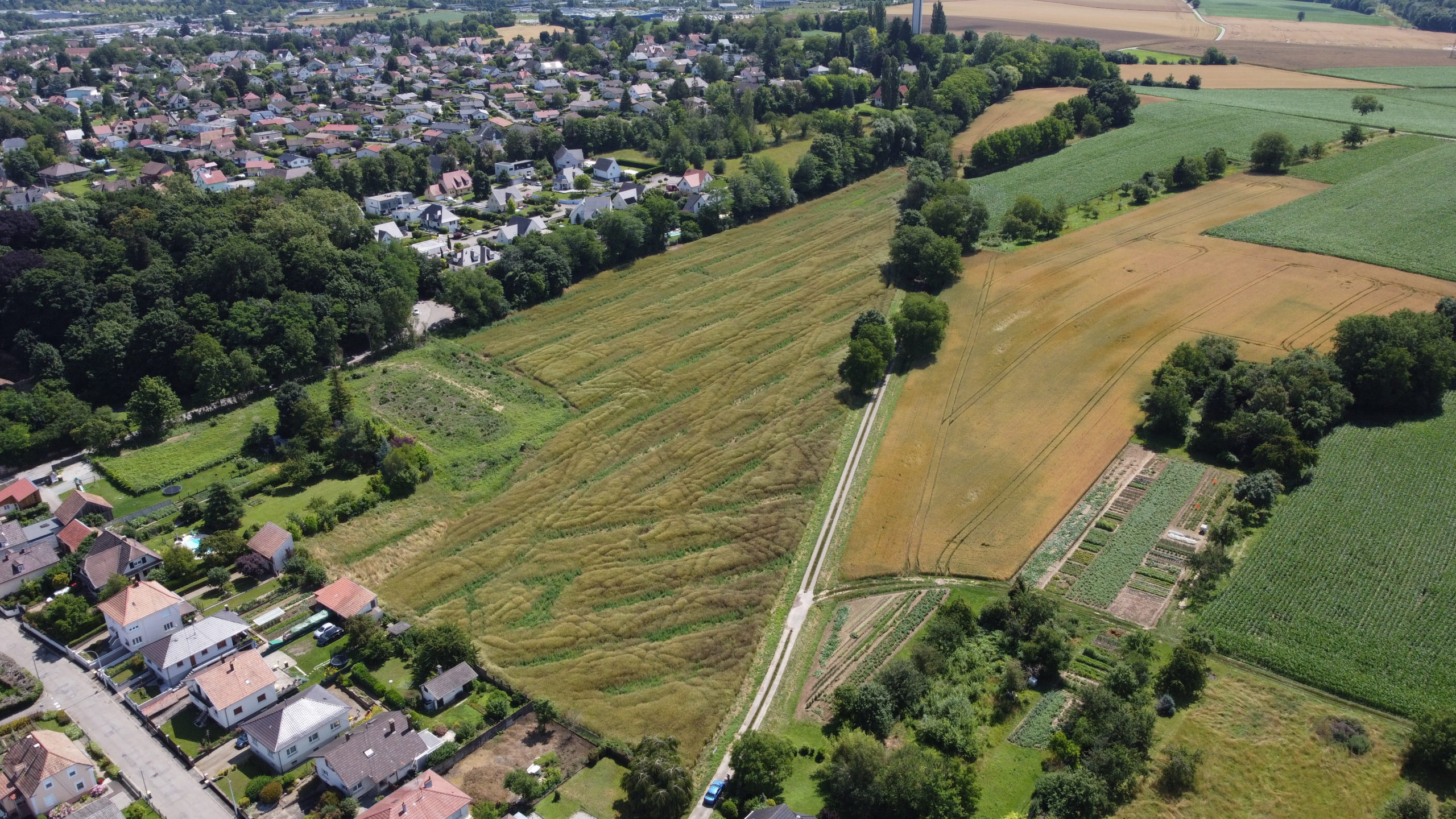 Lotissement de terrains à bâtir « Terre du Temps » à Morschwiller-le-Bas en Alsace