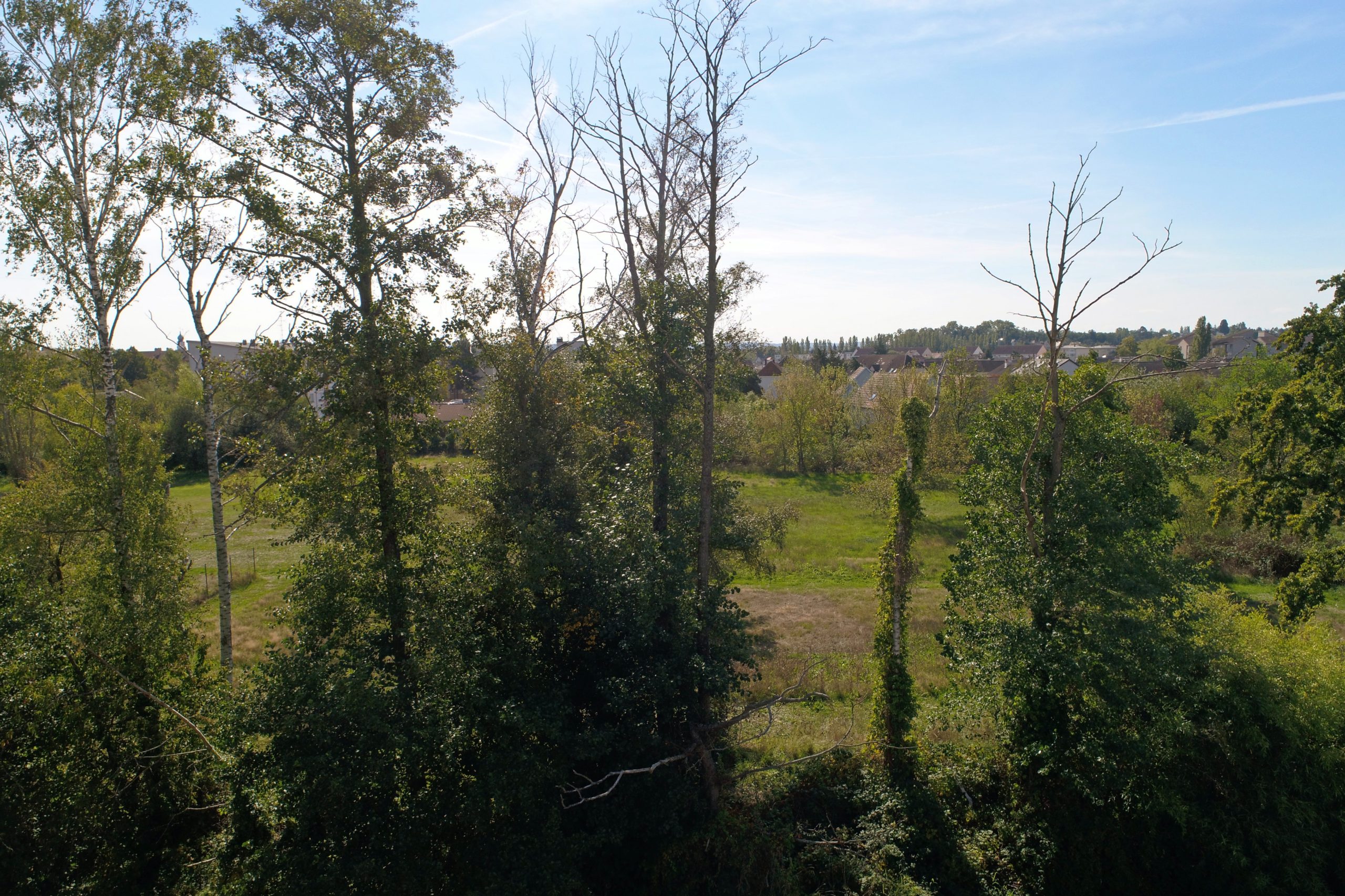 Offre de terrain Terre & Developpement