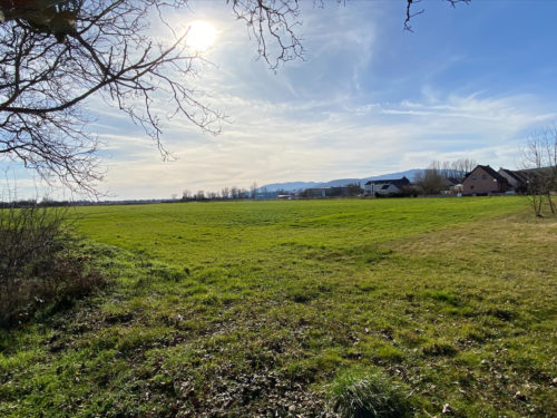 Terrain constructible dans le Haut-Rhin : découvrez le lotissement « Terre de Pierres » à Rouffach