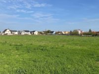 Terrains constructibles en Alsace « Terre d’Alliance » à Bischwihr