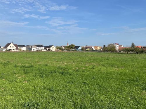 Terrains constructibles en Alsace « Terre d’Alliance » à Bischwihr