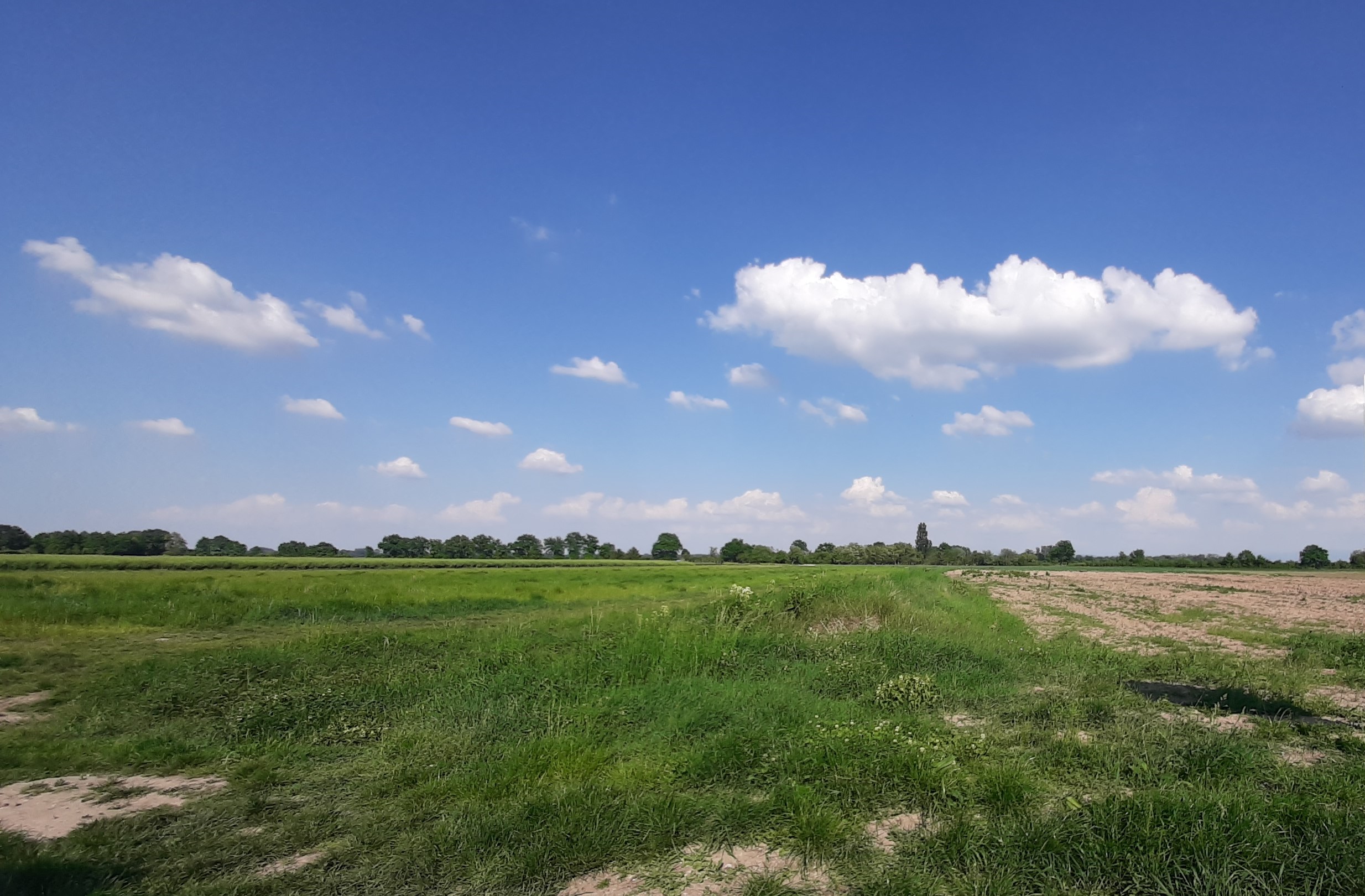 lotissement-untere-breit-à-houssen-terre-et-developpement-haut-rhin