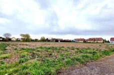 Lotissement Terre du Muguet à Wickerschwihr Terre et Développement