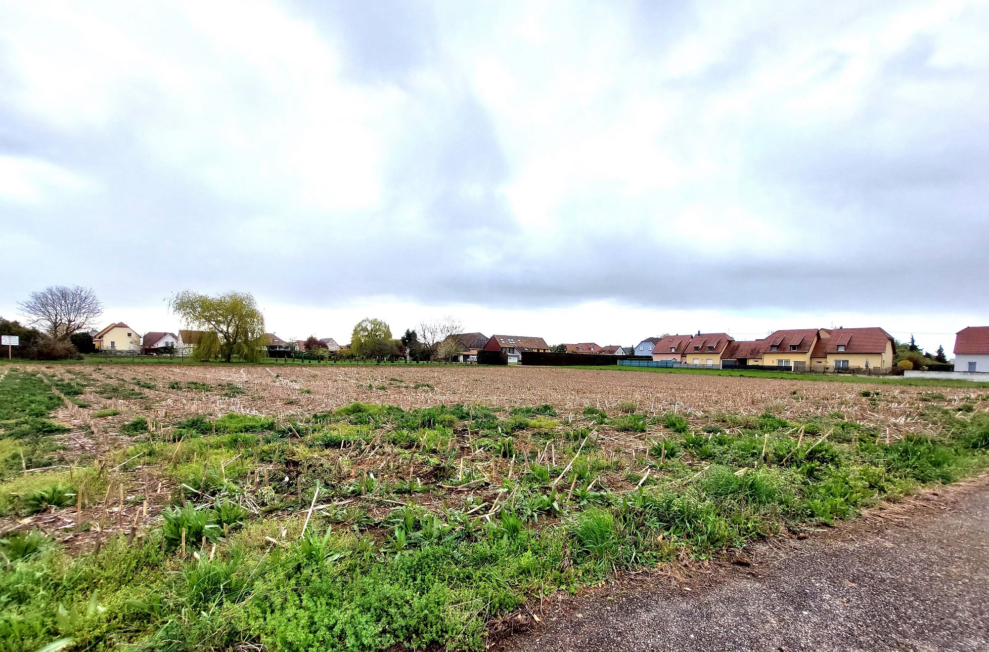 lotissement-wickerschwihr-terre-du-muguet-terre-et-developpement