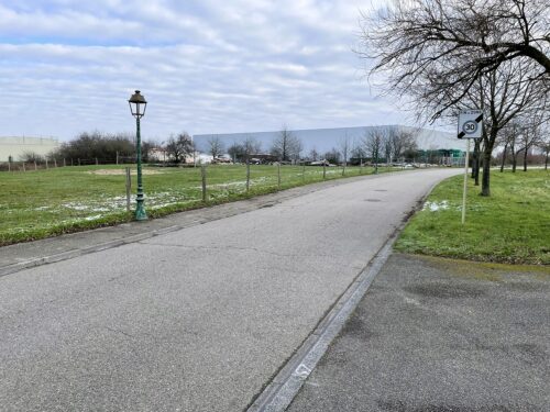Lotissement Terre et Développement Terre du Trèfle à Ungersheim dans le Haut-Rhin piéton