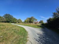 lotissement Terre et Développement Terre de Kleinfeld à Burnhaupt-le-bas dans le Bas-Rhin terrain 2