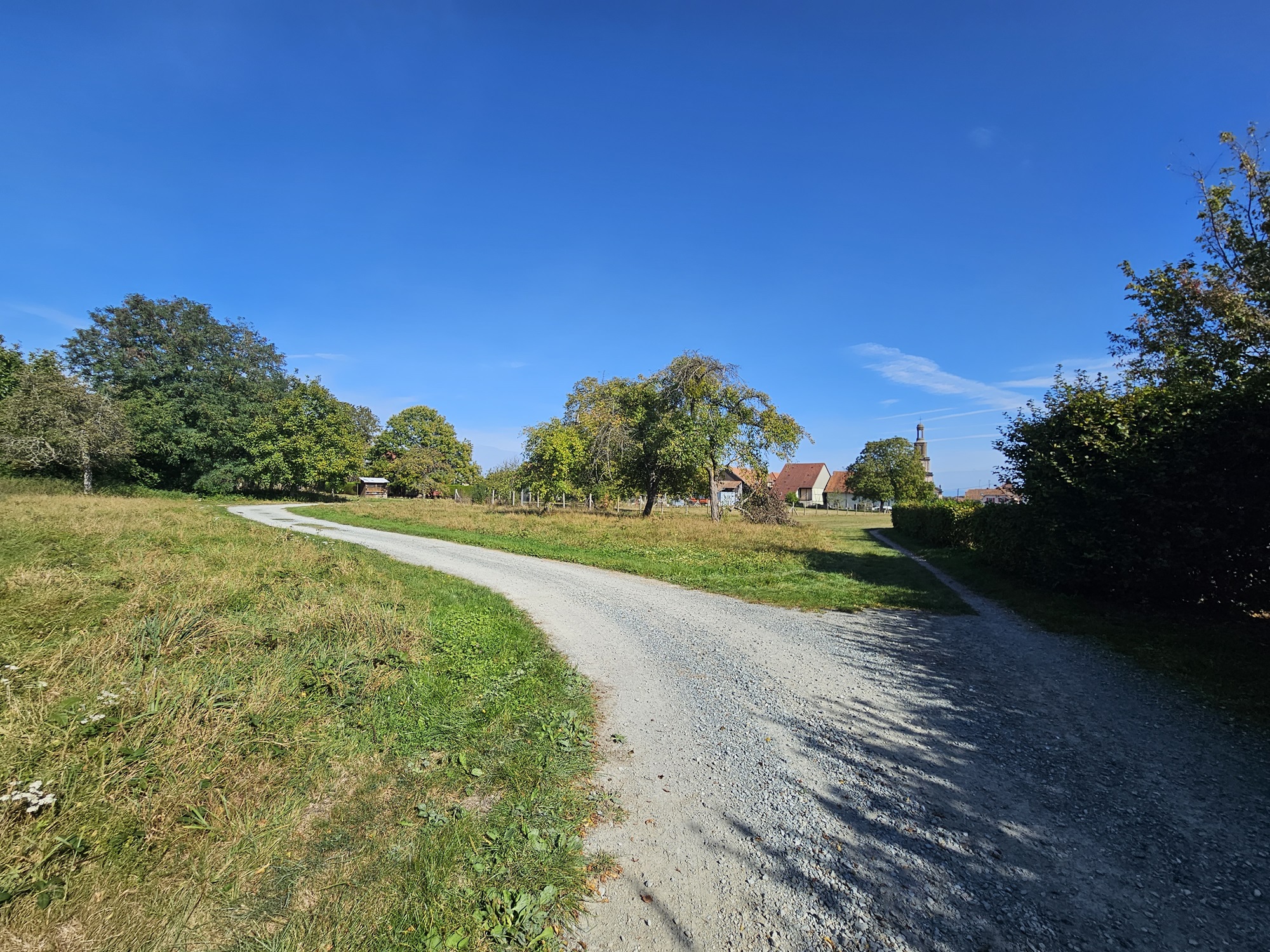 lotissement-terre-et-developpement-terre-de-kleinfeld-burnhaupt-le-bas-terrain-2