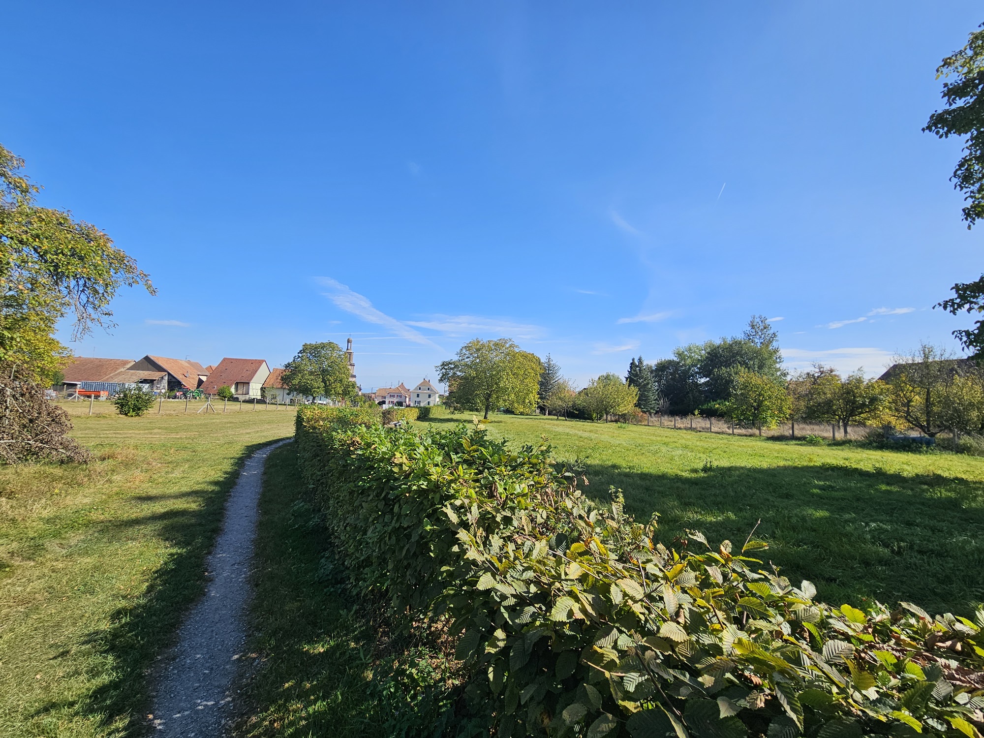 lotissement-terre-et-developpement-terre-de-kleinfeld-burnhaupt-le-bas -terrain