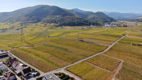 Lotissement Terre Eternam à Turckheim par Terre et Développement dans le cadre de la reconversion d'une friche industrielle dans le Haut-Rhin